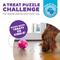Show in main carousel: Outward Hound Orbee-Tuff Mazee Interactive Treat Dispensing Puzzle Dog Toy, Raspberry slide 3 of 14
