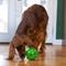 Show in main carousel: Outward Hound Orbee-Tuff Mazee Interactive Treat Dispensing Puzzle Dog Toy, Green slide 7 of 13
