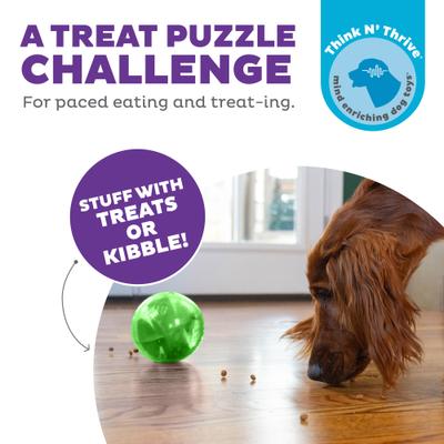 Show full view: Outward Hound Orbee-Tuff Mazee Interactive Treat Dispensing Puzzle Dog Toy, Green slide 2 of 13