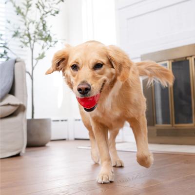 Show full view: Outward Hound Orbee-Tuff Strawberry Treat Dispensing Tough Dog Chew Toy slide 7 of 13