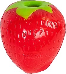 Outward Hound Orbee-Tuff Strawberry Treat Dispensing Tough Dog Chew Toy