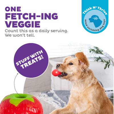 Show full view: Outward Hound Orbee-Tuff Strawberry Treat Dispensing Tough Dog Chew Toy slide 2 of 13