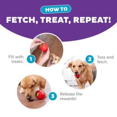 Show full view: Outward Hound Orbee-Tuff Strawberry Treat Dispensing Tough Dog Chew Toy slide 4 of 13