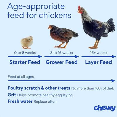 Show full view: Hudson Feeds 18% Multi-Flock Grower/Finisher Complete Poultry Feed, 50-lb bag slide 8 of 9