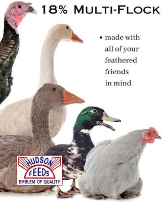 Show full view: Hudson Feeds 18% Multi-Flock Grower/Finisher Complete Poultry Feed, 50-lb bag slide 5 of 9