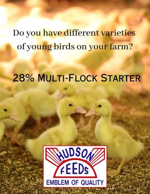 Show full view: Hudson Feeds 28% Protein Multi-Flock Starter Complete Poultry Feed, 50-lb bag slide 5 of 9