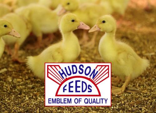Show full view: Hudson Feeds Duck Grower & Finisher 16% Complete Plain Food, 50-lb bag slide 5 of 9