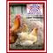 Show in main carousel: Hudson Feeds Poultry Feeds 16% Protein Cage Layer Complete Crumbles Poultry Feed, 50-lb bag slide 5 of 9