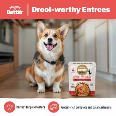 Show full view: Because It's Better Entree Complete Meal Beef Stew with Veggies Wet Dog Food, 10-oz pouch, case of 6 slide 5 of 8