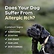 Show in main carousel: Apoquel (oclacitinib chewable tablet) Chewable for Dogs, 5.4mg, 60 tablets slide 9 of 11