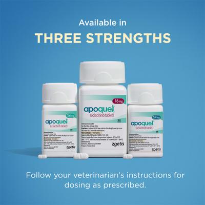 Show full view: Apoquel (oclacitinib) Tablets for Dogs, 3.6-mg, 90 Tablets slide 8 of 13