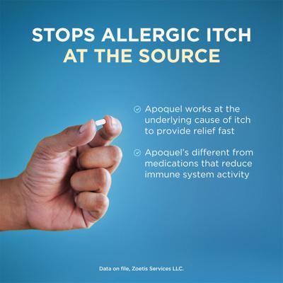 Apoquel (oclacitinib) Tablets for Dogs