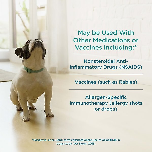 Apoquel (oclacitinib) Tablets for Dogs