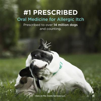 Show full view: Apoquel (oclacitinib) Tablets for Dogs, 3.6-mg, 1 tablet slide 4 of 13