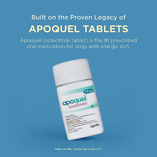 Show full view: Apoquel (oclacitinib chewable tablet) Chewable for Dogs, 5.4mg, 60 tablets slide 8 of 11