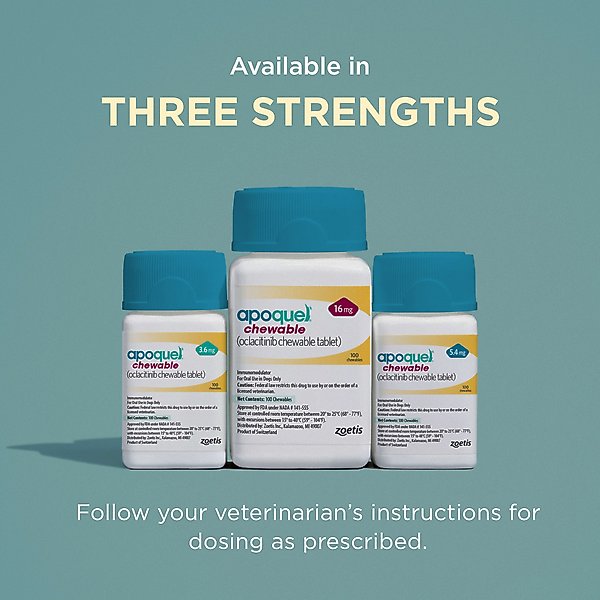 Apoquel (oclacitinib chewable tablet) Chewable for Dogs