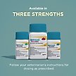 Show in main carousel: Apoquel (oclacitinib chewable tablet) Chewable for Dogs, 5.4mg, 60 tablets slide 7 of 11