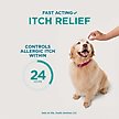 Show in main carousel: Apoquel (oclacitinib chewable tablet) Chewable for Dogs, 5.4mg, 60 tablets slide 4 of 11