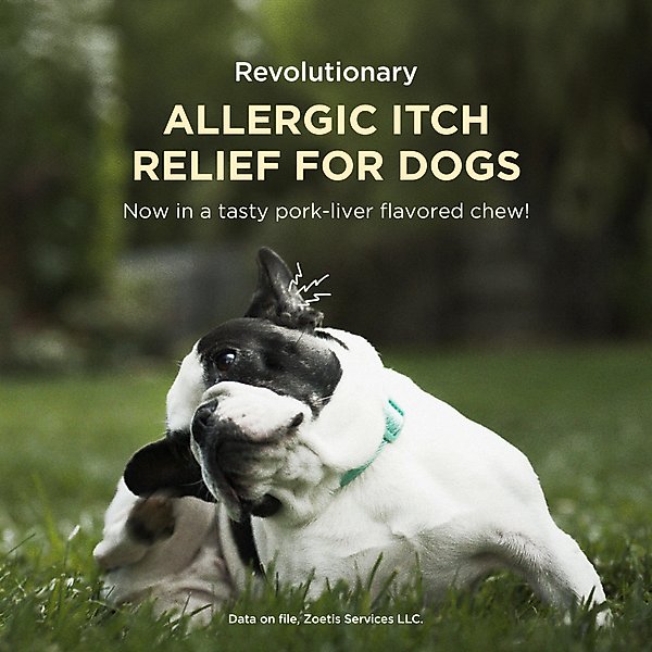 Show full view: Apoquel (oclacitinib chewable tablet) Chewable for Dogs, 5.4mg, 60 tablets slide 3 of 11