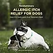 Show in main carousel: Apoquel (oclacitinib chewable tablet) Chewable for Dogs, 5.4mg, 60 tablets slide 3 of 11