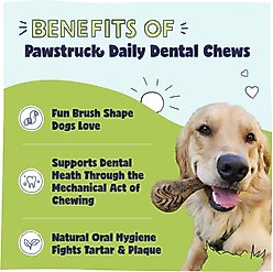 Pawstruck Dental Chew Brush Large Dogs Treats, 30 count slide 2 of 9