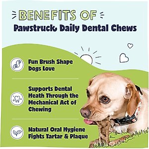 Pawstruck Dental Chew Brush Small Dogs Treats, 15 count