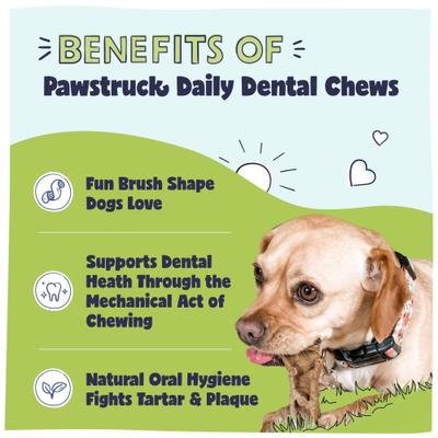 Show full view: Pawstruck Dental Chew Brush Small Dogs Treats, 15 count slide 3 of 12