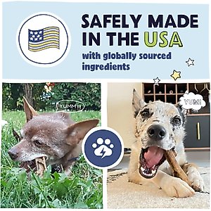 Pawstruck Dental Chew Brush Small Dogs Treats, 15 count