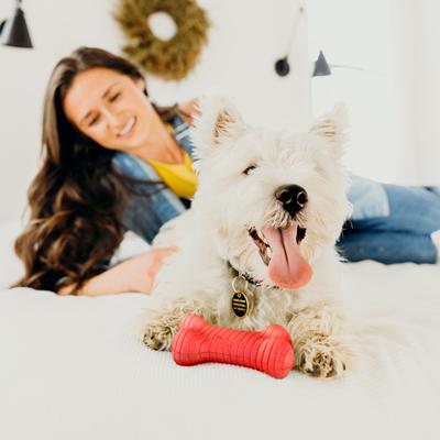 Show full view: Playology Beef Scented Dual Layer Bone Dog Toy, Medium slide 5 of 11