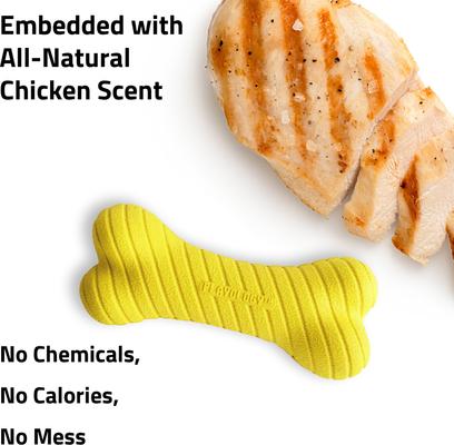 Show full view: Playology Chicken Scented Dual Layer Bone Dog Toy, Medium slide 4 of 9