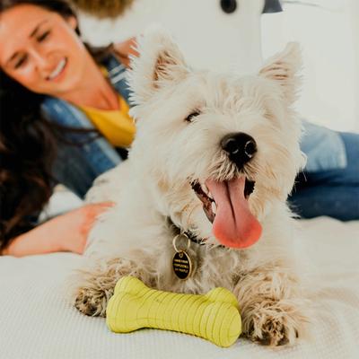 Show full view: Playology Chicken Scented Dual Layer Bone Dog Toy, Medium slide 5 of 11