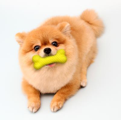 Show full view: Playology Chicken Scented Dual Layer Bone Dog Toy, Small slide 4 of 10