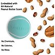 Show in main carousel: Playology Peanut Butter Scented Squeaky Chew Ball Dog Toy, Jumbo slide 5 of 9