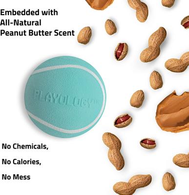 Show full view: Playology Peanut Butter Scented Squeaky Chew Ball Dog Toy, Medium slide 4 of 8