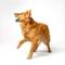Show in main carousel: Playology Peanut Butter Scented Squeaky Chew Ball Dog Toy, Medium slide 3 of 8