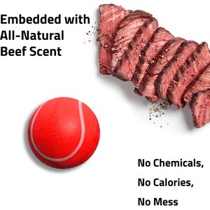 Playology Beef Scented Squeaky Chew Ball Dog Toy, Medium