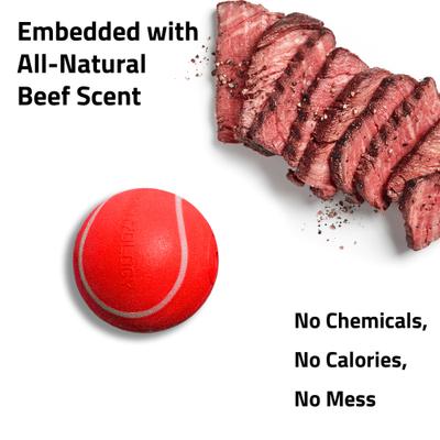 Show full view: Playology Beef Scented Squeaky Chew Ball Dog Toy, Medium slide 5 of 10