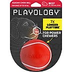 Playology Beef Scented Squeaky Chew Ball Dog Toy, Medium