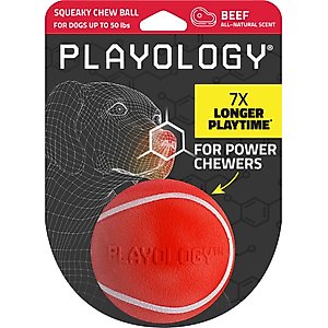 Playology Beef Scented Squeaky Chew Ball Dog Toy, Medium