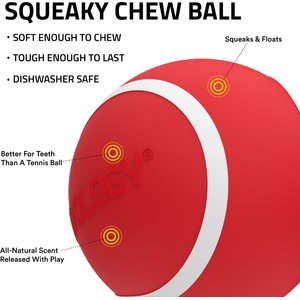 Playology Beef Scented Squeaky Chew Ball Dog Toy, Medium
