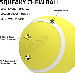Playology Chicken Scented Squeaky Chew Ball Dog Toy, Medium slide 2 of 7
