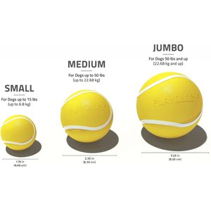 Playology Chicken Scented Squeaky Chew Ball Dog Toy, Medium