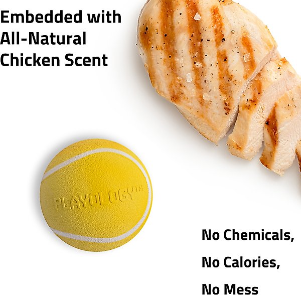 Show full view: Playology Chicken Scented Squeaky Chew Ball Dog Toy, Medium slide 5 of 9