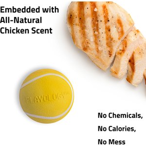 Playology Chicken Scented Squeaky Chew Ball Dog Toy, Medium