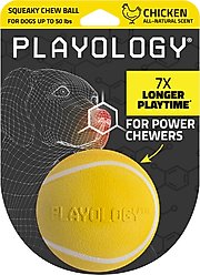 Playology Chicken Scented Squeaky Chew Ball Dog Toy, Medium