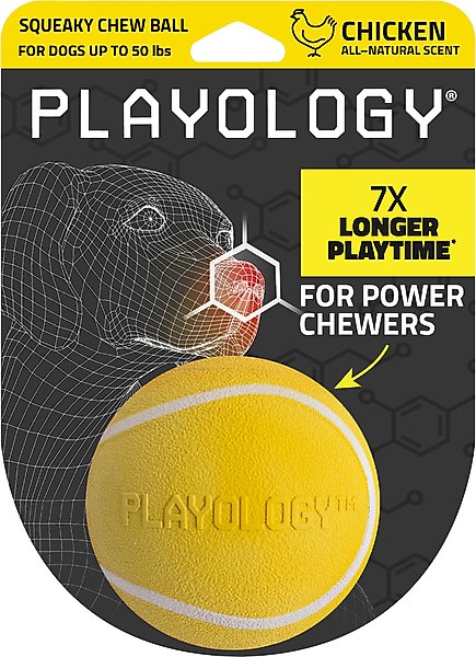 Show full view: Playology Chicken Scented Squeaky Chew Ball Dog Toy, Medium slide 1 of 9