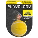 Playology Chicken Scented Squeaky Chew Ball Dog Toy, Medium