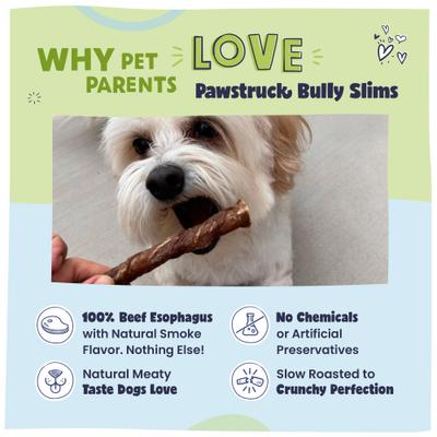 Show full view: Pawstruck Junior Beef Gullet Bully Sticks Dog Treats, 5-in, 20 count slide 4 of 12