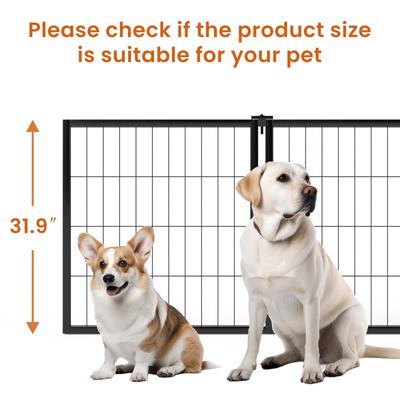Show full view: Zeus & Ruta Dog Crate, Black, 63 inch slide 7 of 7