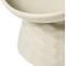 Show in main carousel: Frisco Elevated Tilted Cat Bowl, Cream, Small: 2 cup slide 3 of 8